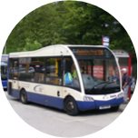 Our Services